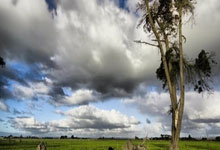 jinnianhui-恩菲尔德全力备战世俱杯，冲击冠军信心十足