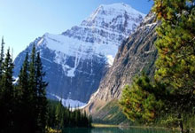 金年会集团-意大利选手的冠军之路:辉煌背后的坚持与努力