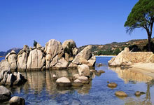 金年会APP-利物浦传控战术优化，球队整体配合更顺畅