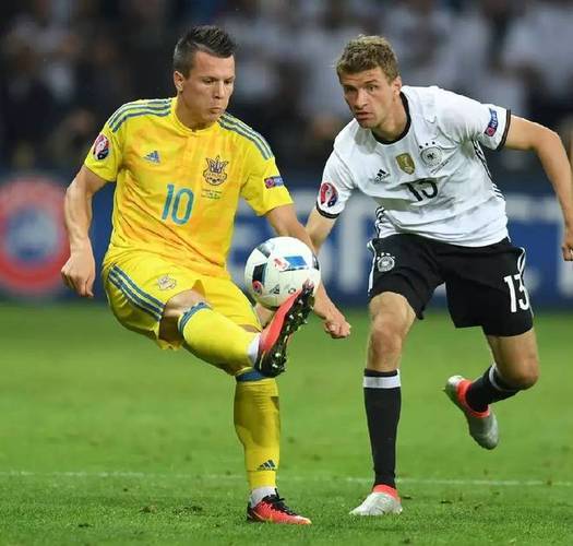 金年会app下载-欧预赛：挪威不敌摩尔多瓦，挫败在道场