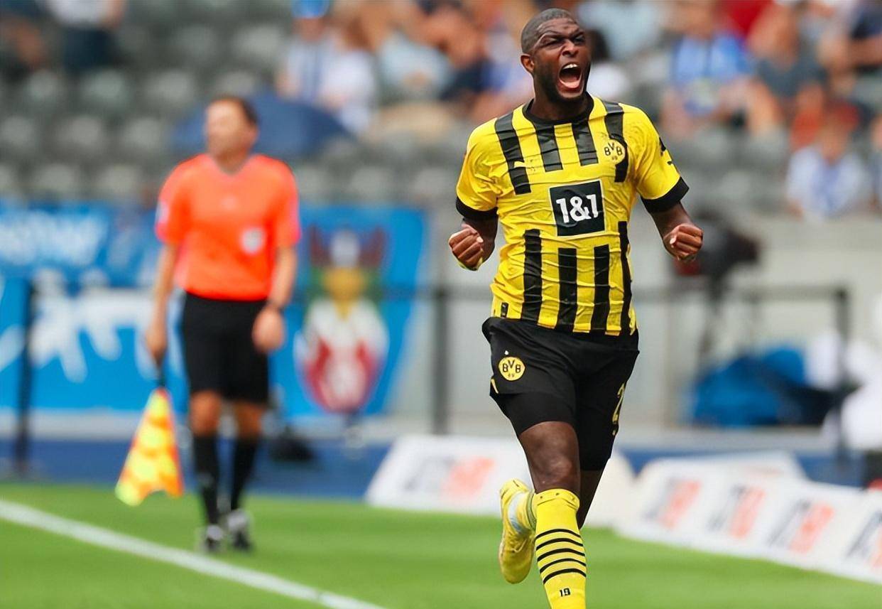 霍芬海姆外援赛后表现抢眼，备受赞誉的简单介绍