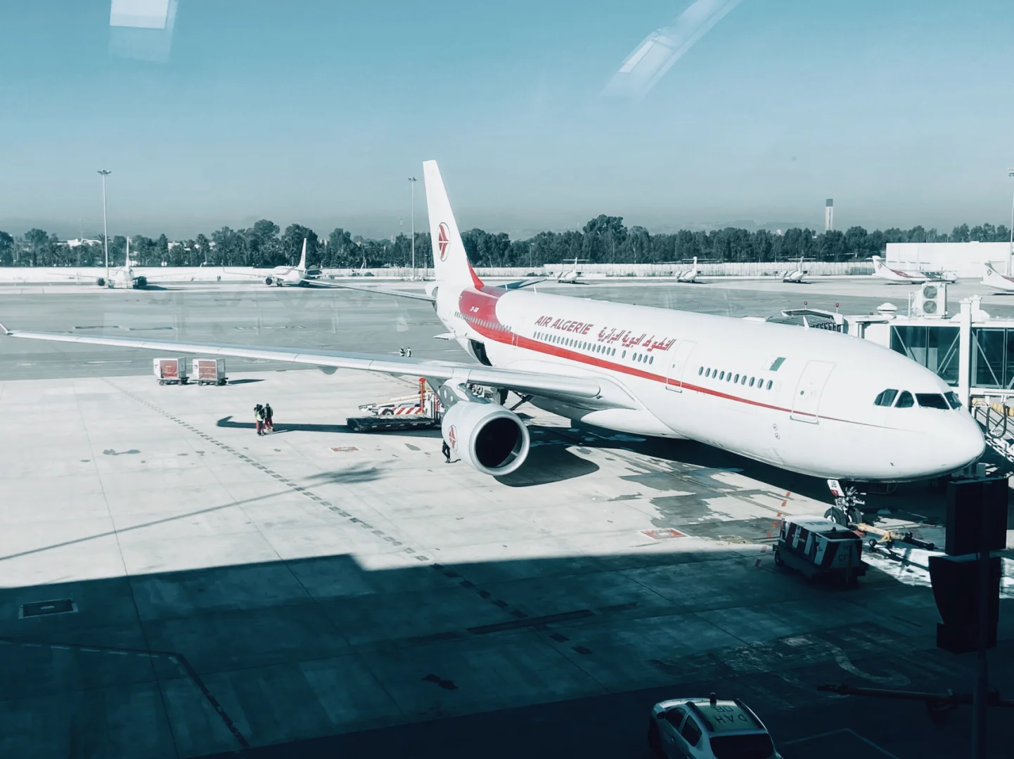 金年会平台-包含阿尔及利亚队客场败北，士气低迷困难的词条