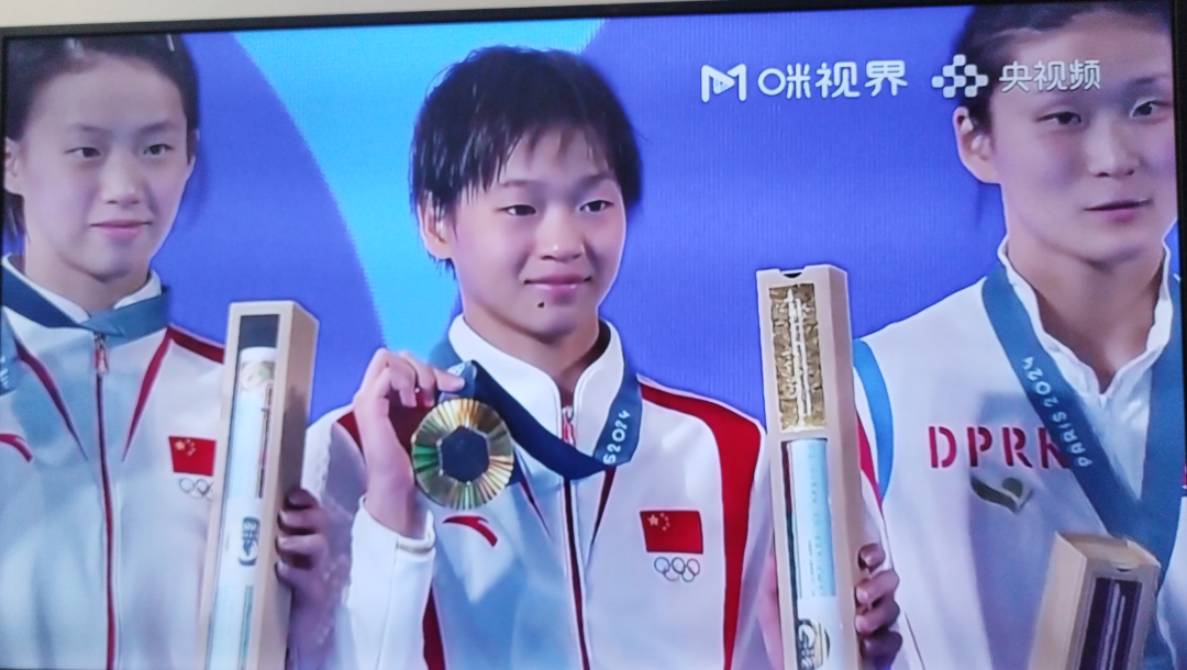 法国体操选手优异表现,夺得银牌 法国体操选手优异表现,夺得银牌