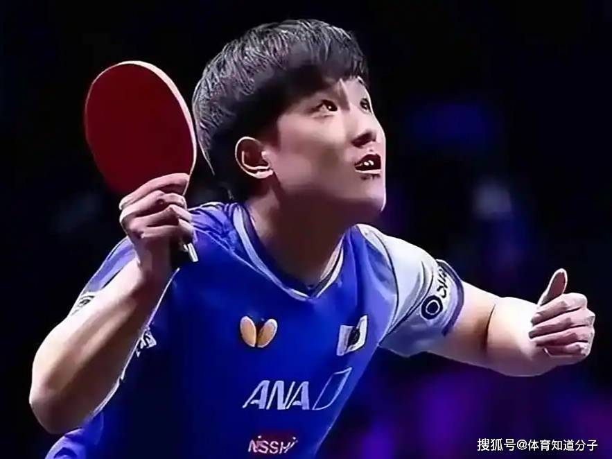 包含法国乒乓球队绝杀日本乒乓球队,张本智和打破历史纪录的词条 包含法国乒乓球队绝杀日本乒乓球队,张本智和打破历史纪录的词条