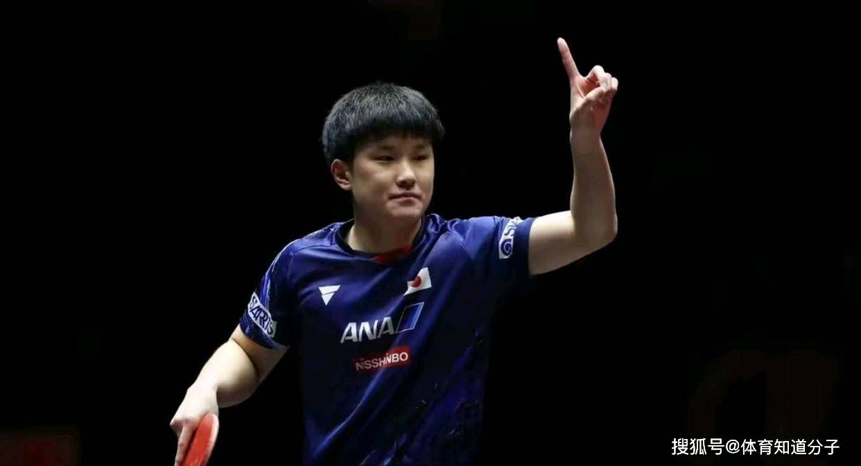 金年会平台-波兰队逆转英格兰队,张本智和点燃赛场
