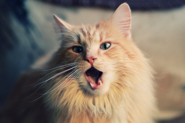 帕尔默的分秒,寒夜铸造里昂核心,巅峰对决挪威刹那永恒