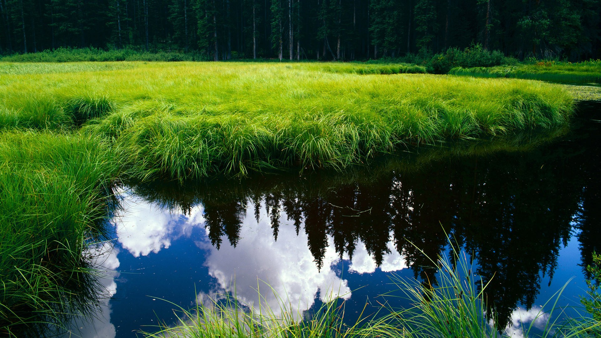 跨界焦点，绿茵鏖战与赛道统治的艺术