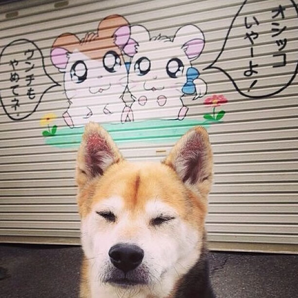 北欧风暴与中场魔法，德布劳内的冠军级表现与挪威的战术压制