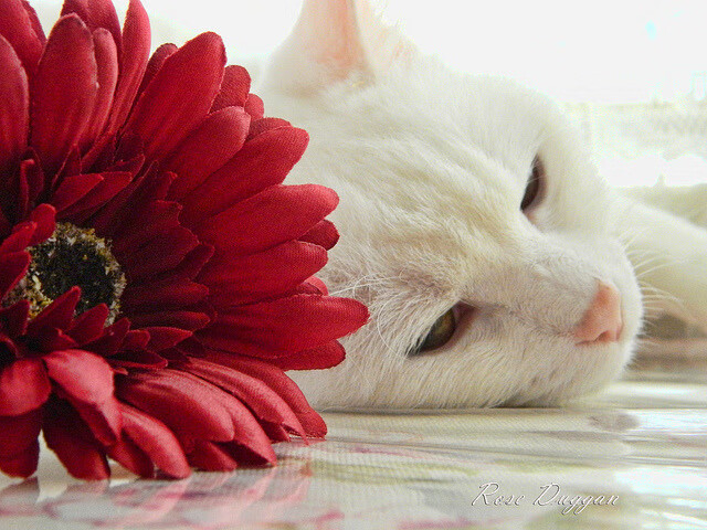 金年会全站-烽烟再起！骑士鏖战掀翻新疆，奥运周期本土试炼场惊现新曙光