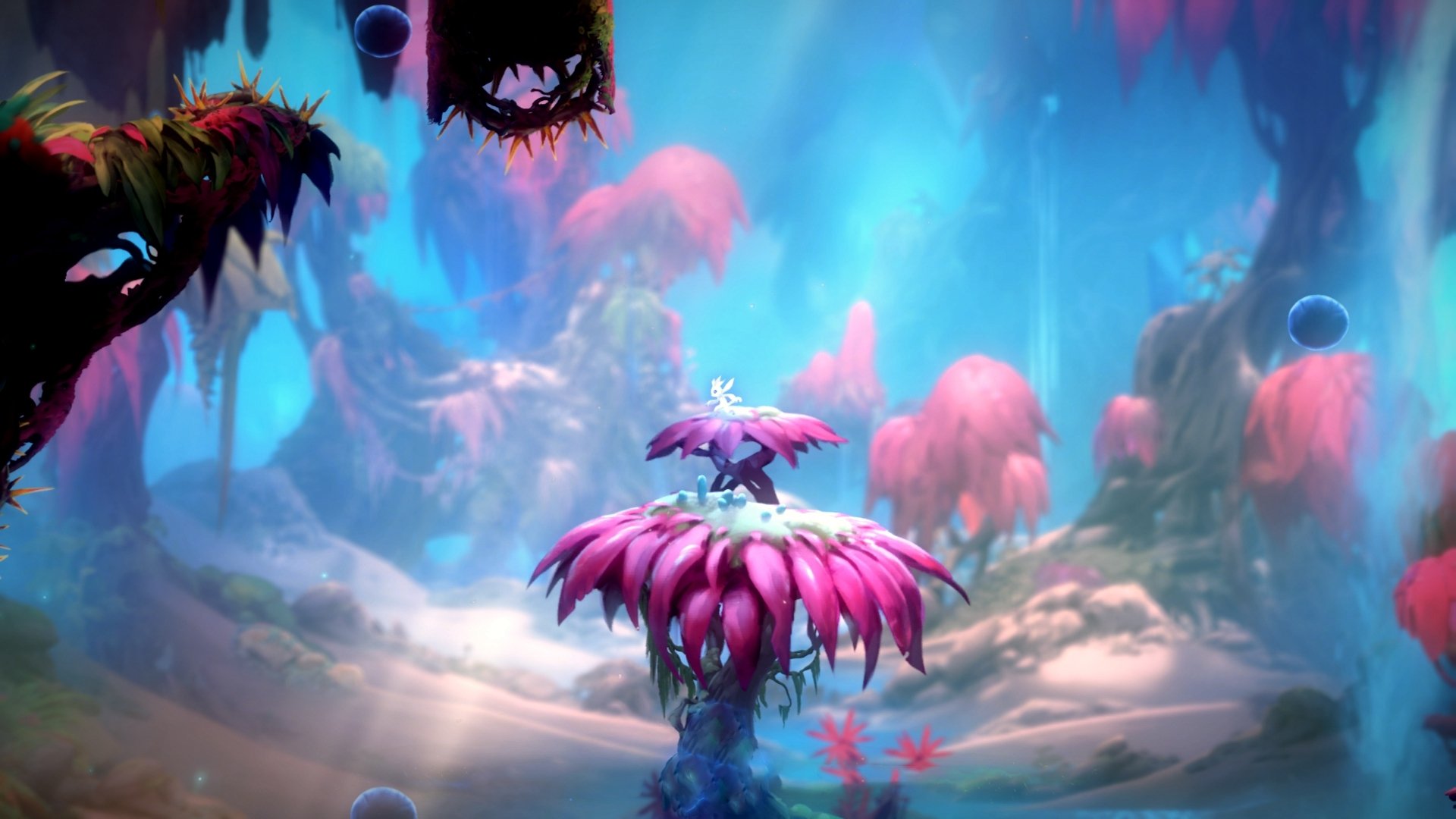 金年会网站-北欧风暴与文艺复兴的碰撞，巴雷拉如何让佛罗伦萨在挪威的寒夜中臣服