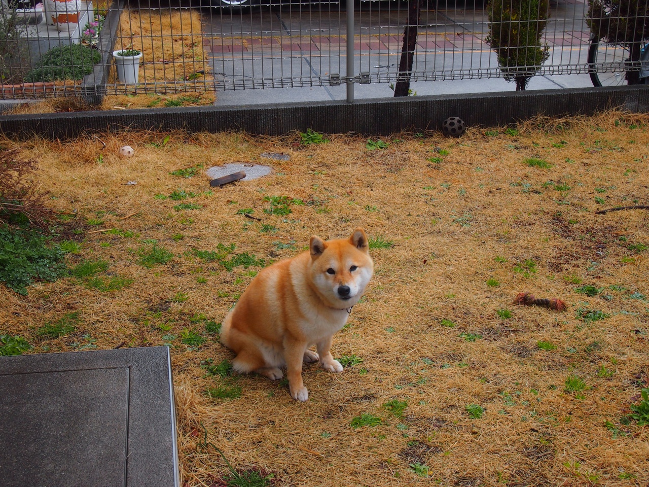 克莱关键节点连珠炮式得分，雄鹿客场逆转老鹰带走胜利