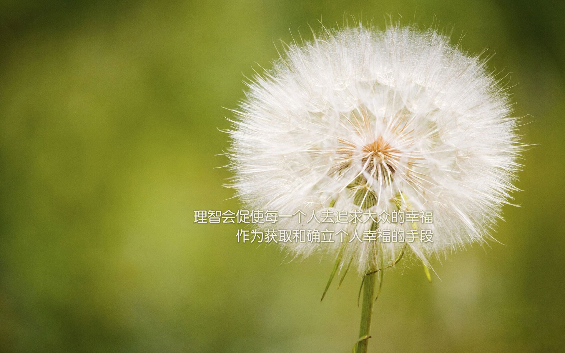 金年会集团-马刺横扫老鹰，欧文完美发挥铸就史诗级胜利