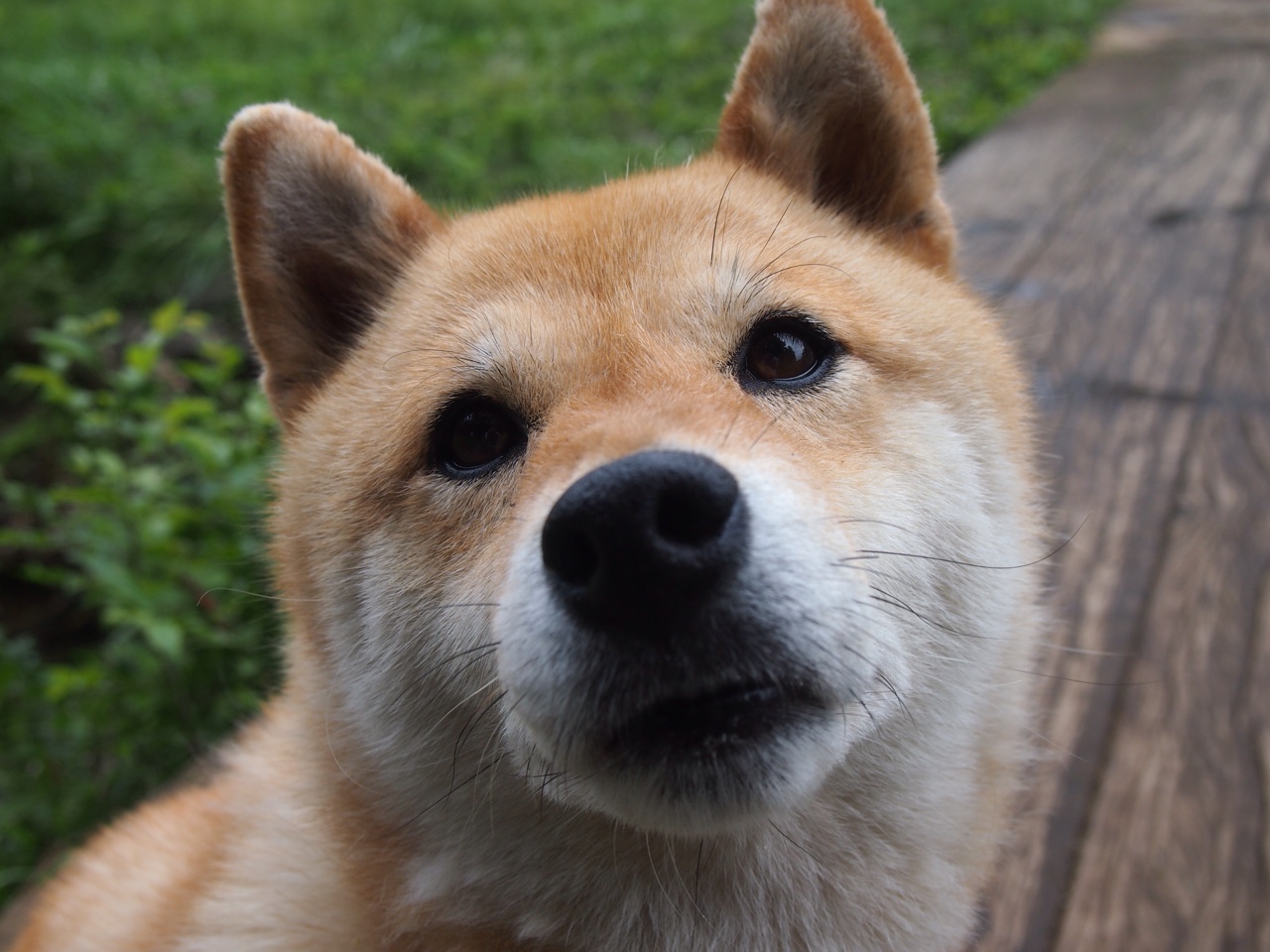 sports jnh-布伦森关键先生发力，浙江队连续得分潮压制吉林队夺胜