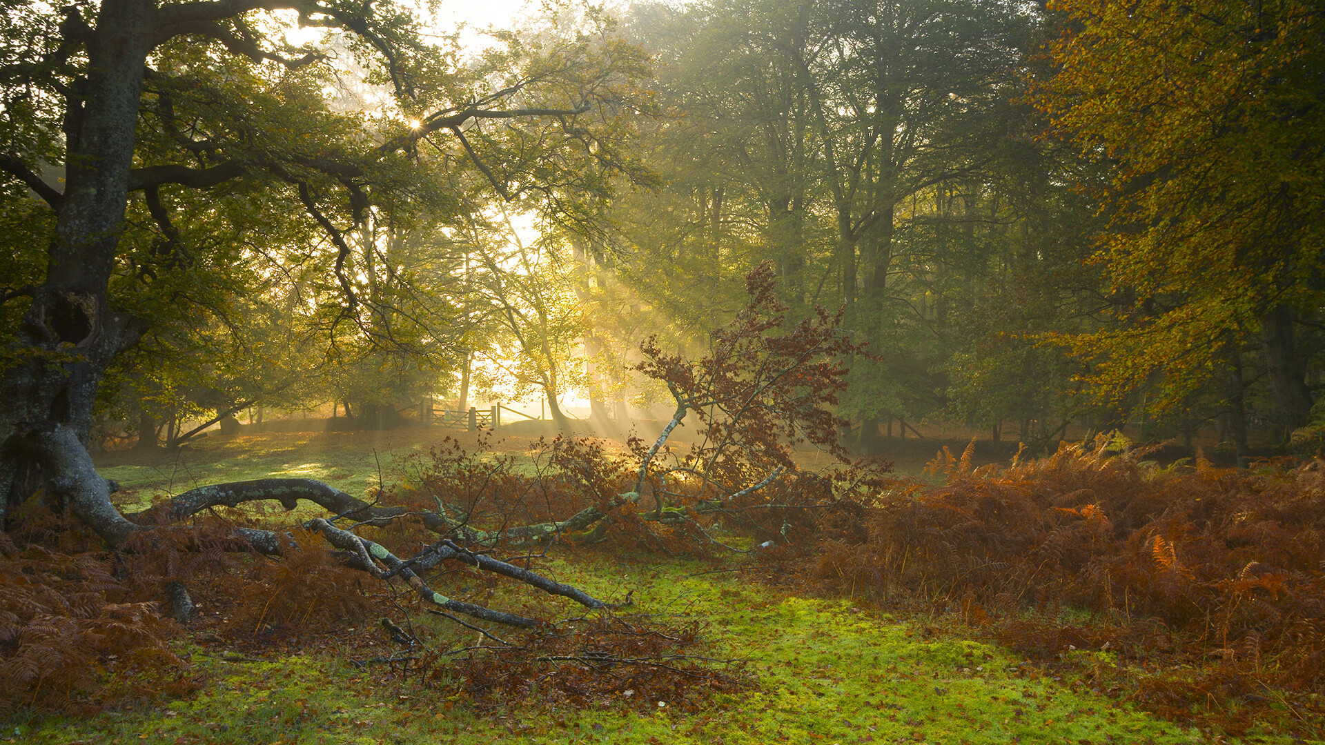 引擎轰鸣与地板尖叫，决胜时刻的毫厘哲学