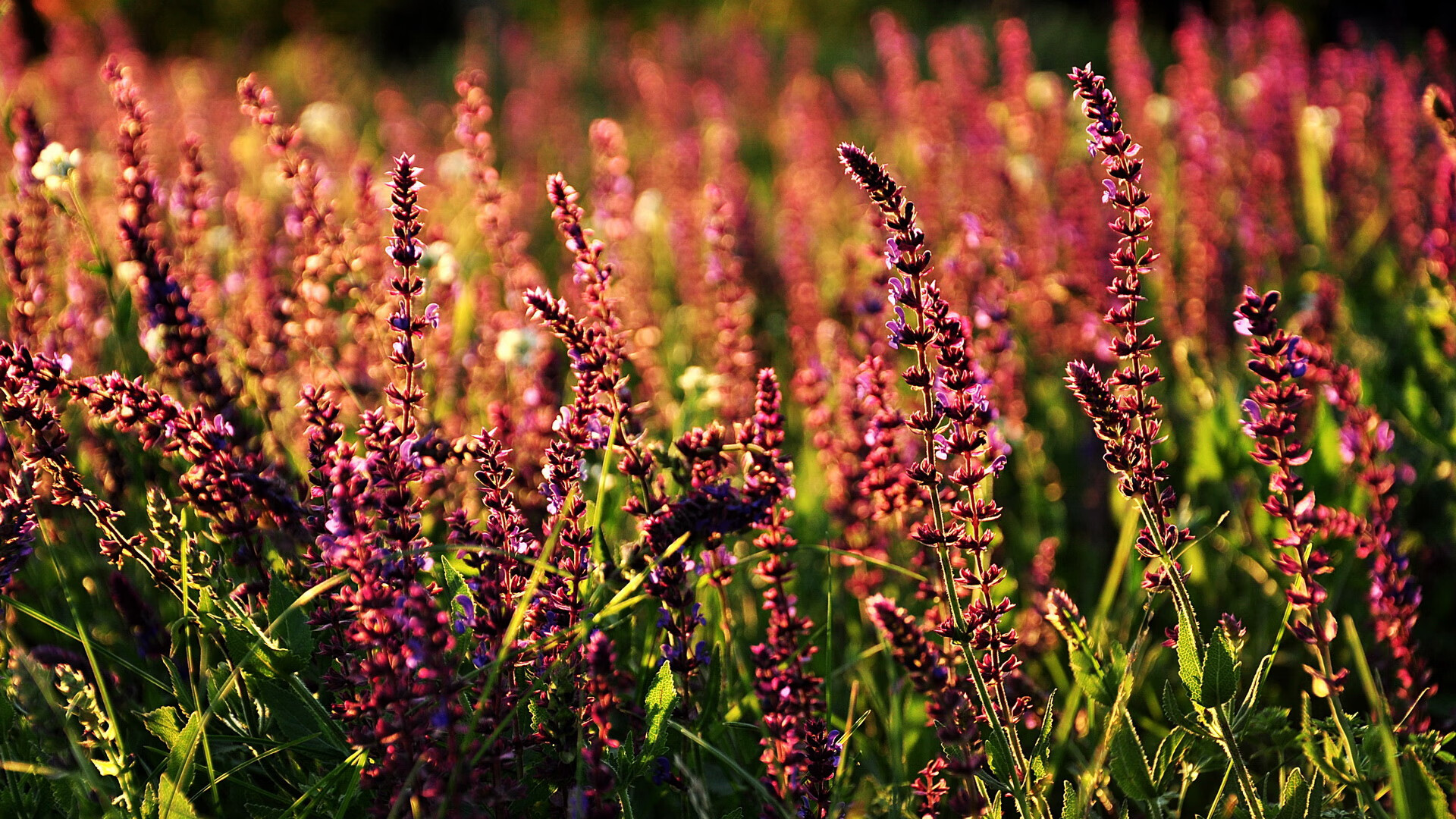 欧冠巅峰对决，阿森纳单节拉开德国豪强，阿什拉夫失误让比赛提前失去悬念