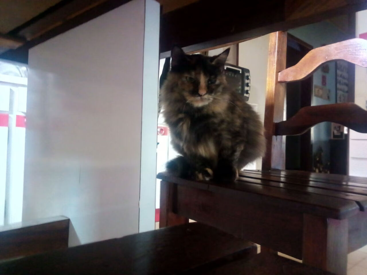 新西兰稳字诀绞杀星月军团，2026世界杯首战即显黑马本色