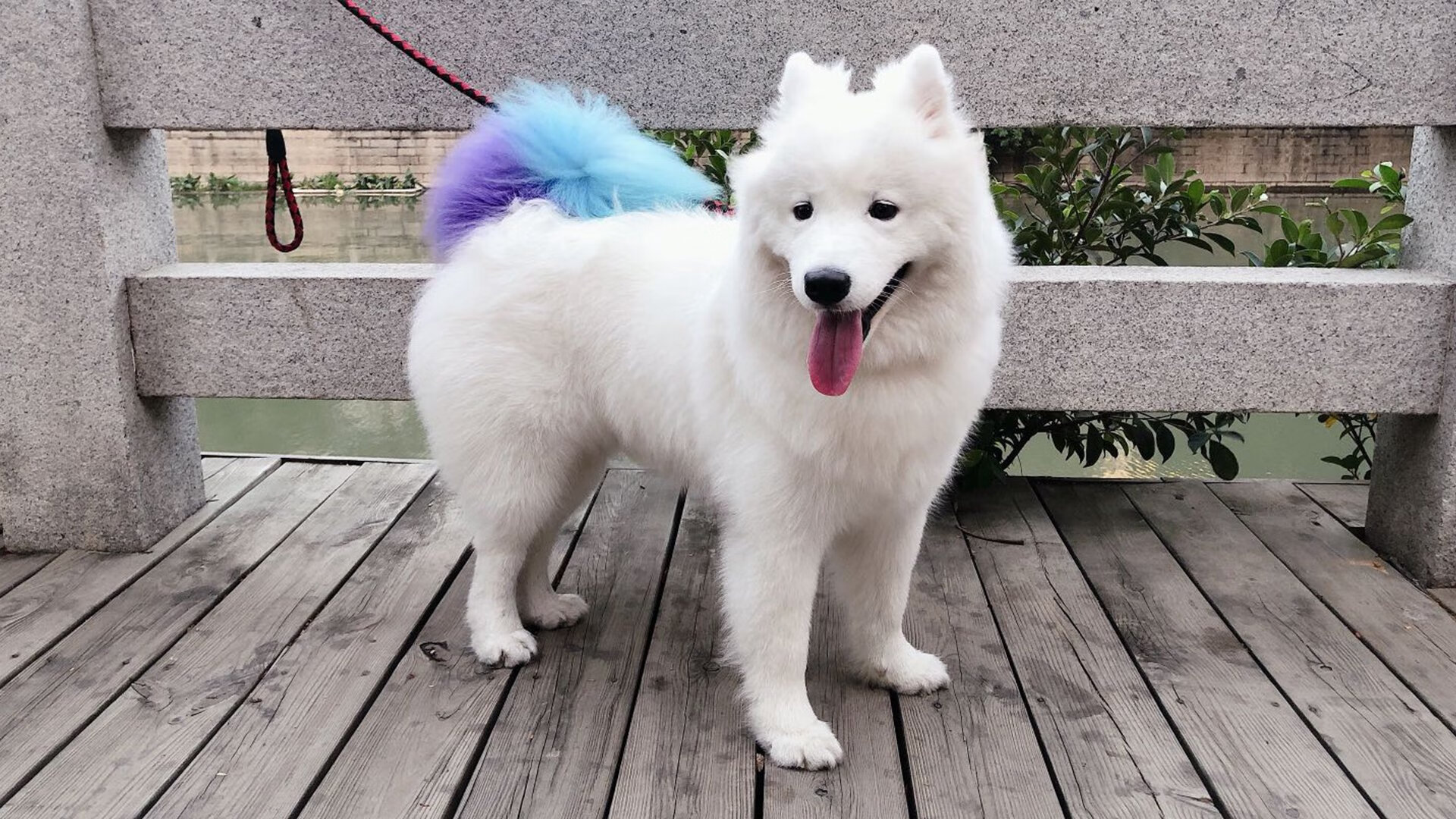 金年会博彩-哈登，攻防一体书写新篇，鹈鹕，青年军碾压王朝残影